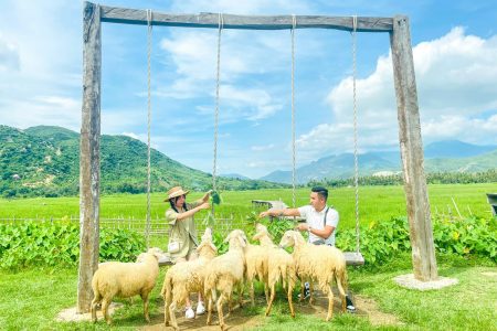Tour Đồng cừu – Vĩnh Hy – Hang Rái – Vườn nho
