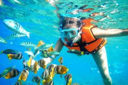 Tour Snorkeling – Cho Cá Ăn